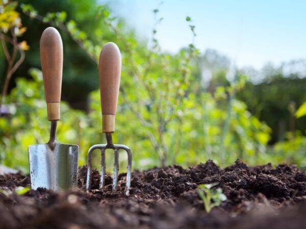 Jak wybrać dobry dla swoich potrzeb domek narzędziowy do ogrodu