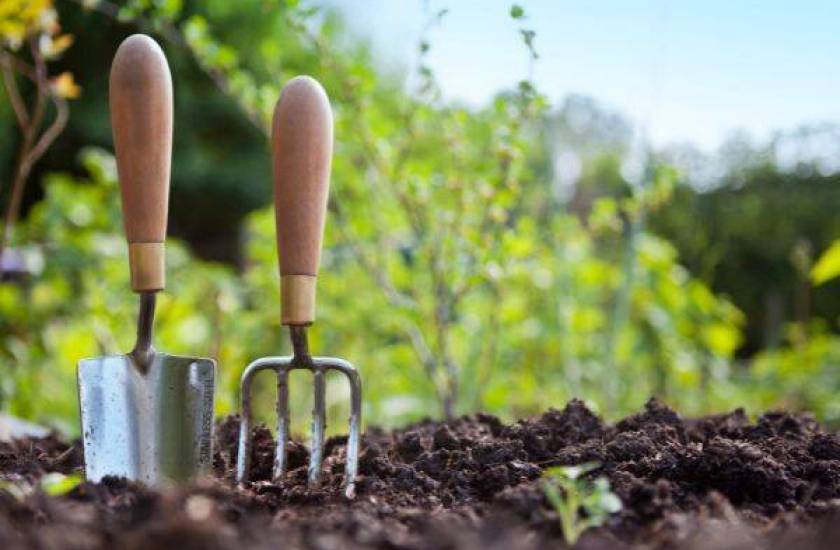 Jak wybrać dobry dla swoich potrzeb domek narzędziowy do ogrodu